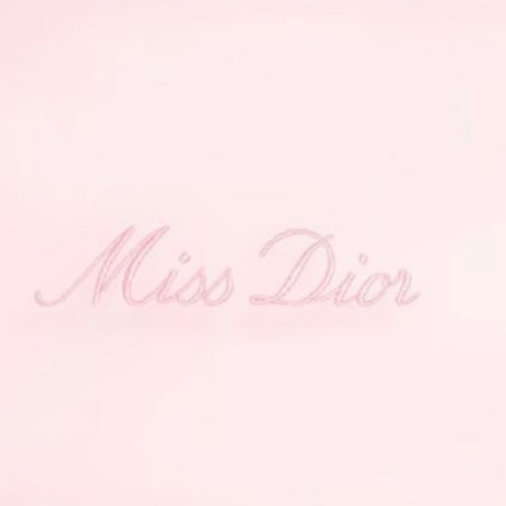 DIOR Bag Pink Miss Dior Large Mesh Pouch NEW with BOX - Picture 3 of 5